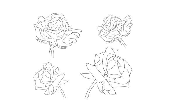 Download Rose Vector Set by Hand Drawing - By hand Collection